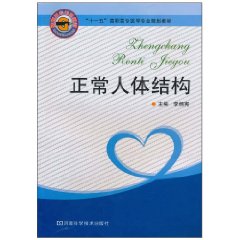 正常人体结构
