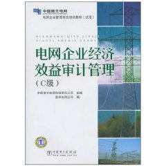 电网企业经济效益审计管理:C级