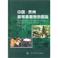 中国.贵州高等真菌原色图鉴
