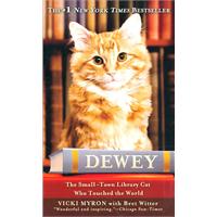 DEWEY