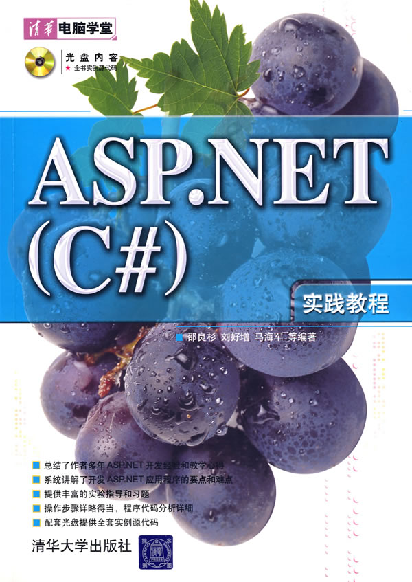 ASP.NET(C#)实践教程(含盘)