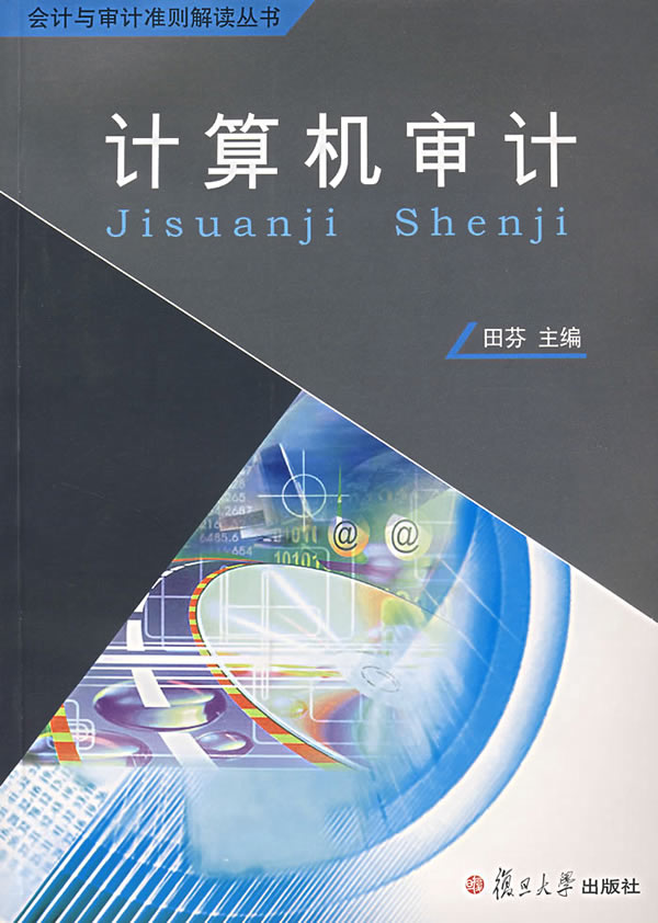 计算机审计(含盘)(会计与审计准则解读丛书)