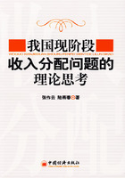 我国现阶段收入分配问题的理论思考