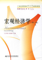 宏观经济学(第二版)