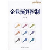 企业全面预算管理