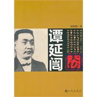 谭延闿大传