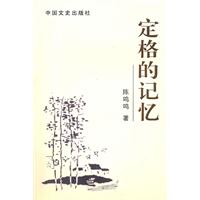 定格的记忆