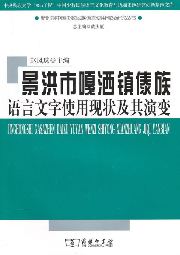 景洪市嘎洒镇傣族语言文字使用现状及其演变