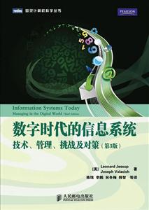 数字时代的信息系统:技术、管理、挑战及对策(第3版)