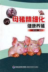母猪精细化健康养殖