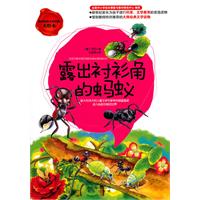 露出衬衫角的蚂蚁-美绘本