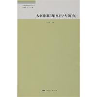 大国国际组织行为研究