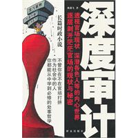 深度审计:长篇时政小说