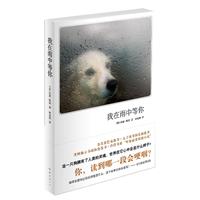我在雨中等你(新版)