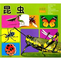 昆虫-好宝宝学知识