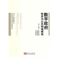 数字政府技术与公共领域绩效