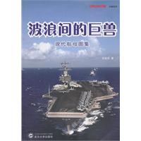 波浪间的巨兽-现代航母图集