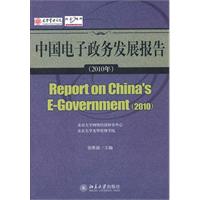 2010年-中国电子政务发展报告