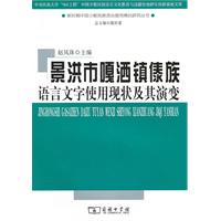 景洪市嘎洒镇傣族语言文字使用现状及其演变