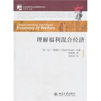 理解福利混合经济