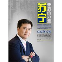 信息化天梯-苏宁背后的力量
