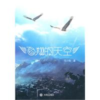 飞翔的天空