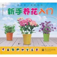 新手养花入门