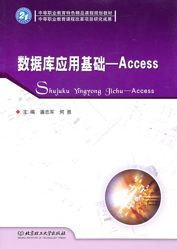 数据库应用基础-Access
