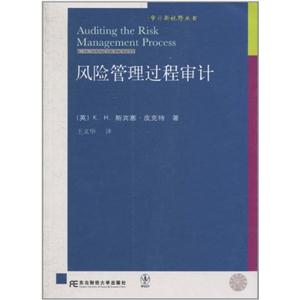 風(fēng)險管理過程審計