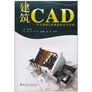 CAD-8佨ʵ