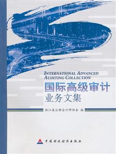国际高级审计业务文集