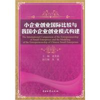 小企业创业国际比较与我国小企业创业模式构建