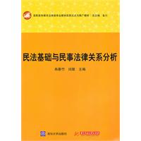 民法基础与民事法律关系分析