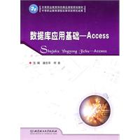 数据库应用基础-Access