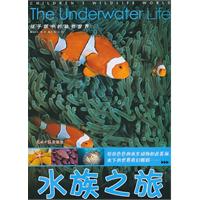 水族之旅