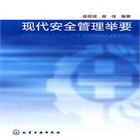 现代安全管理举要