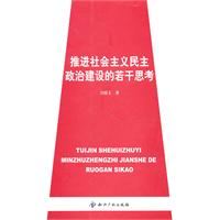 推进社会主义民主政治建设的若干思考
