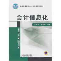 会计信息化