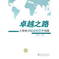 卓越之路-上海电力精益化管理实践