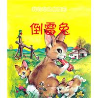 倒霉兔-我的动物朋友们