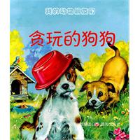 贪玩的狗狗-我的动物朋友们\/晨光