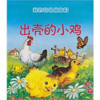 出壳的小鸡-我的动物朋友们