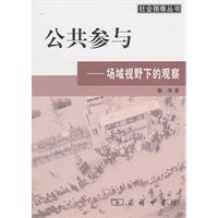 公共参与-场域视野下的观察