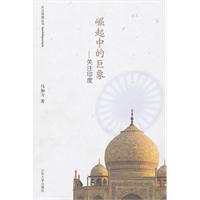 崛起中的巨象-关注印度