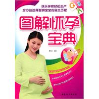 图解怀孕宝典