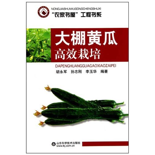大棚黄瓜高效栽培