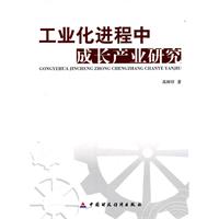 工业化进程中成长产业研究