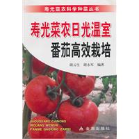 寿光菜农日光温室番茄高效栽培