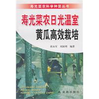 寿光菜农日光温室黄瓜高效栽培