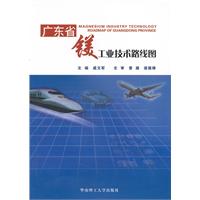 广东省镁工业技术路线图